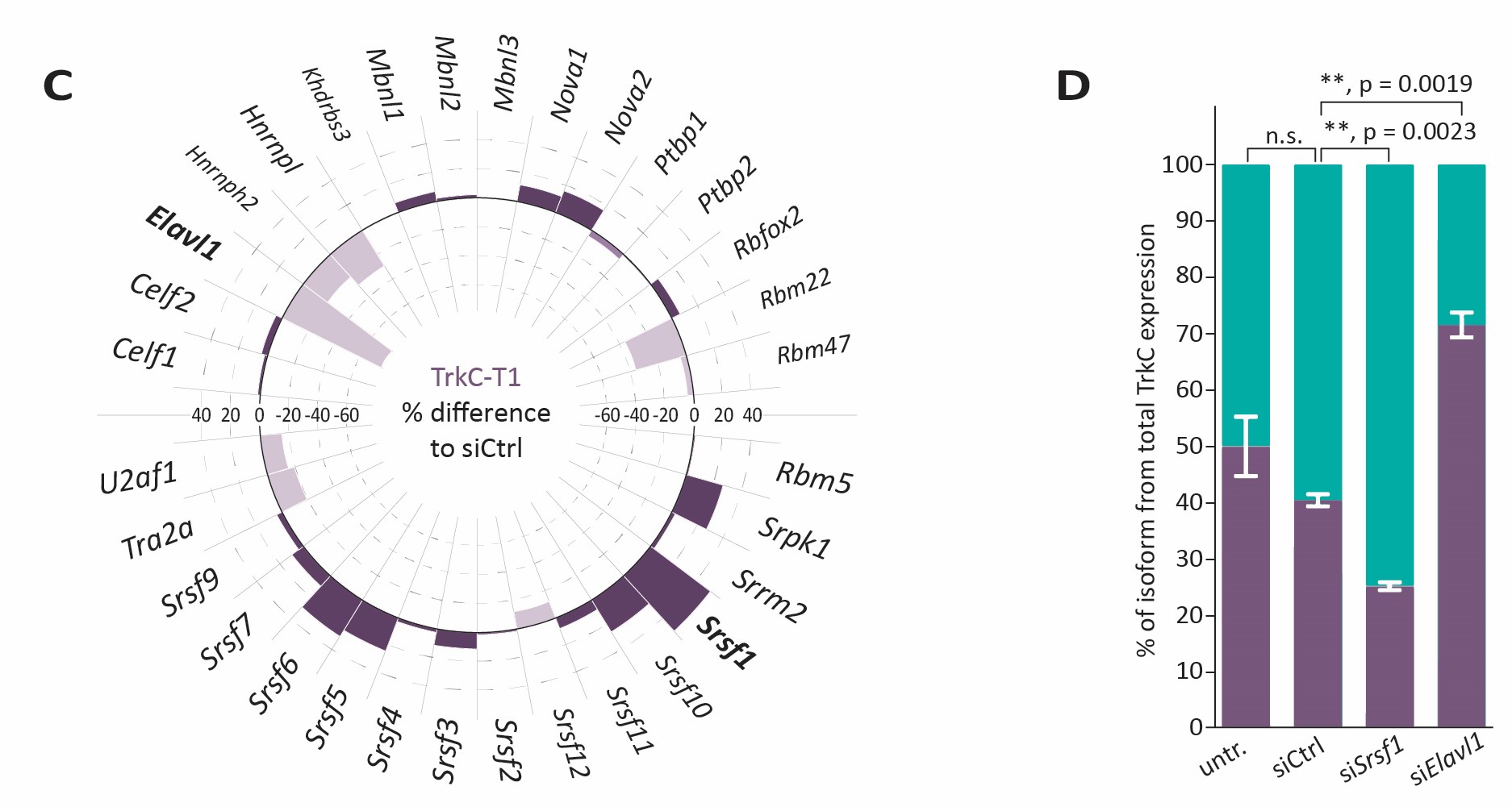 Data viz from the publication resulting from my PhD thesis. Full article: https://doi.org/10.1093/nar/gkad703
