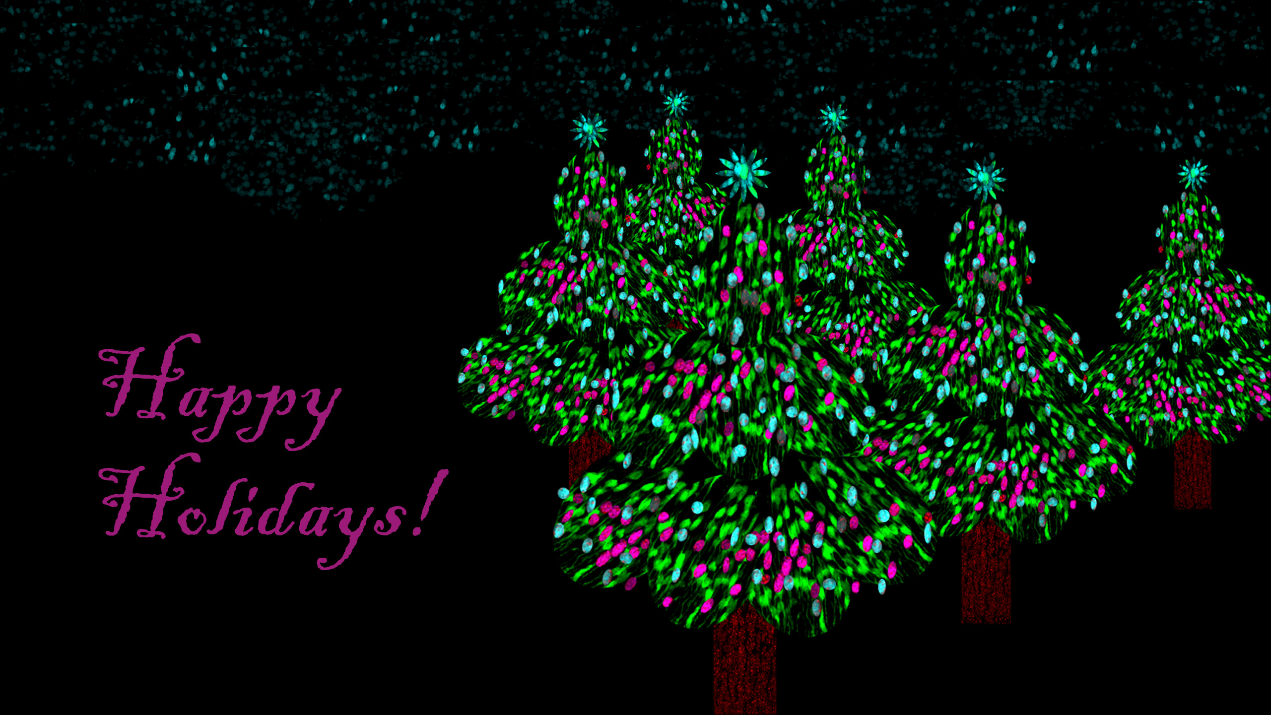 Just for fun composite of confocal microscope-generated images of neurons, assembled in the shapes of decorated Christmas trees.