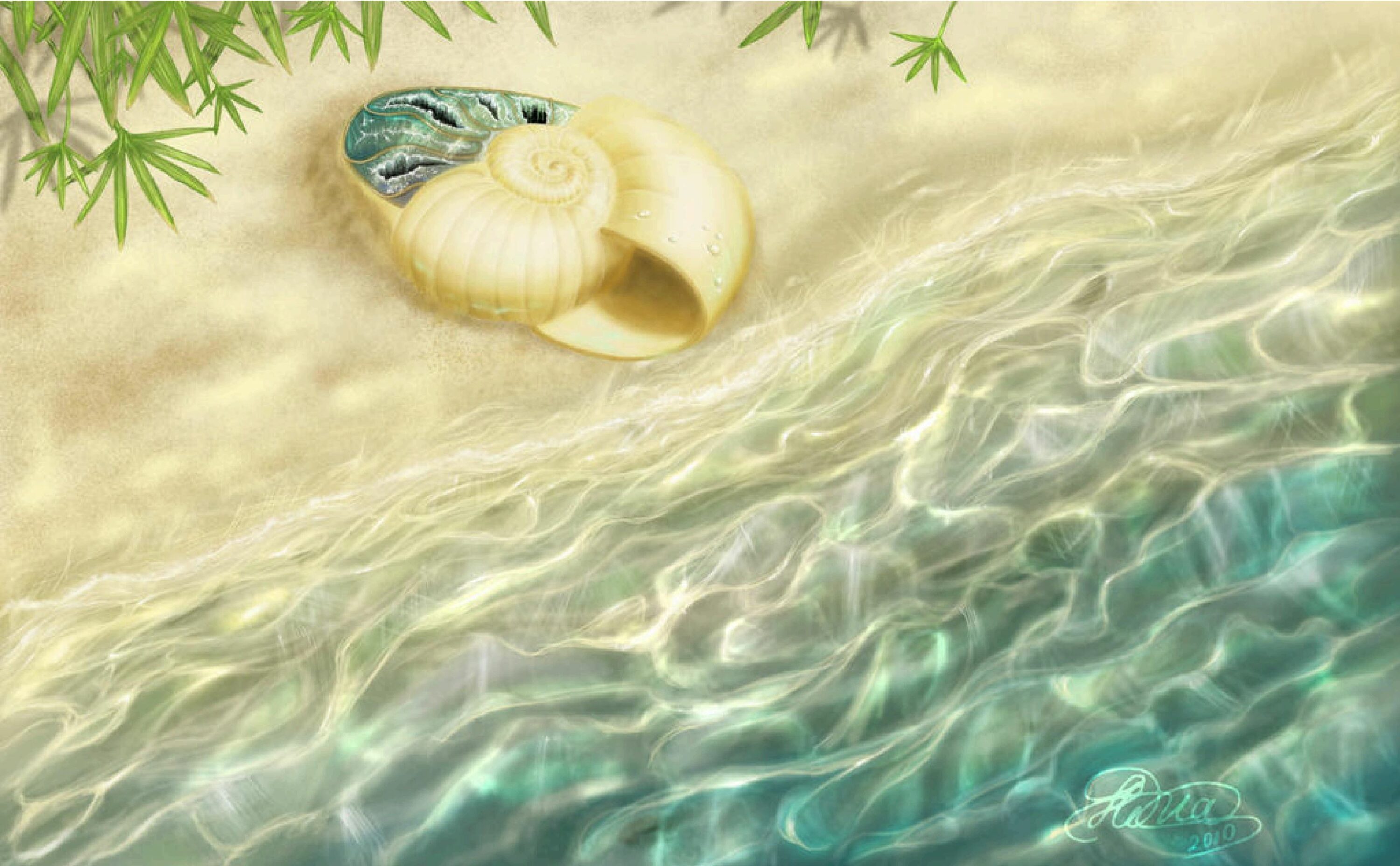 A digital painting depicting an ammonite fossil cast ashore. It has a crystallized interior, which can happen to some fossils in a process called diagenesis.