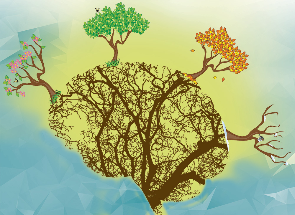 Composite to illustrate an article of the CNS Newsletter on seasonal mood changes - https://medical-neurosciences.charite.de/en/about_us/newsletter/