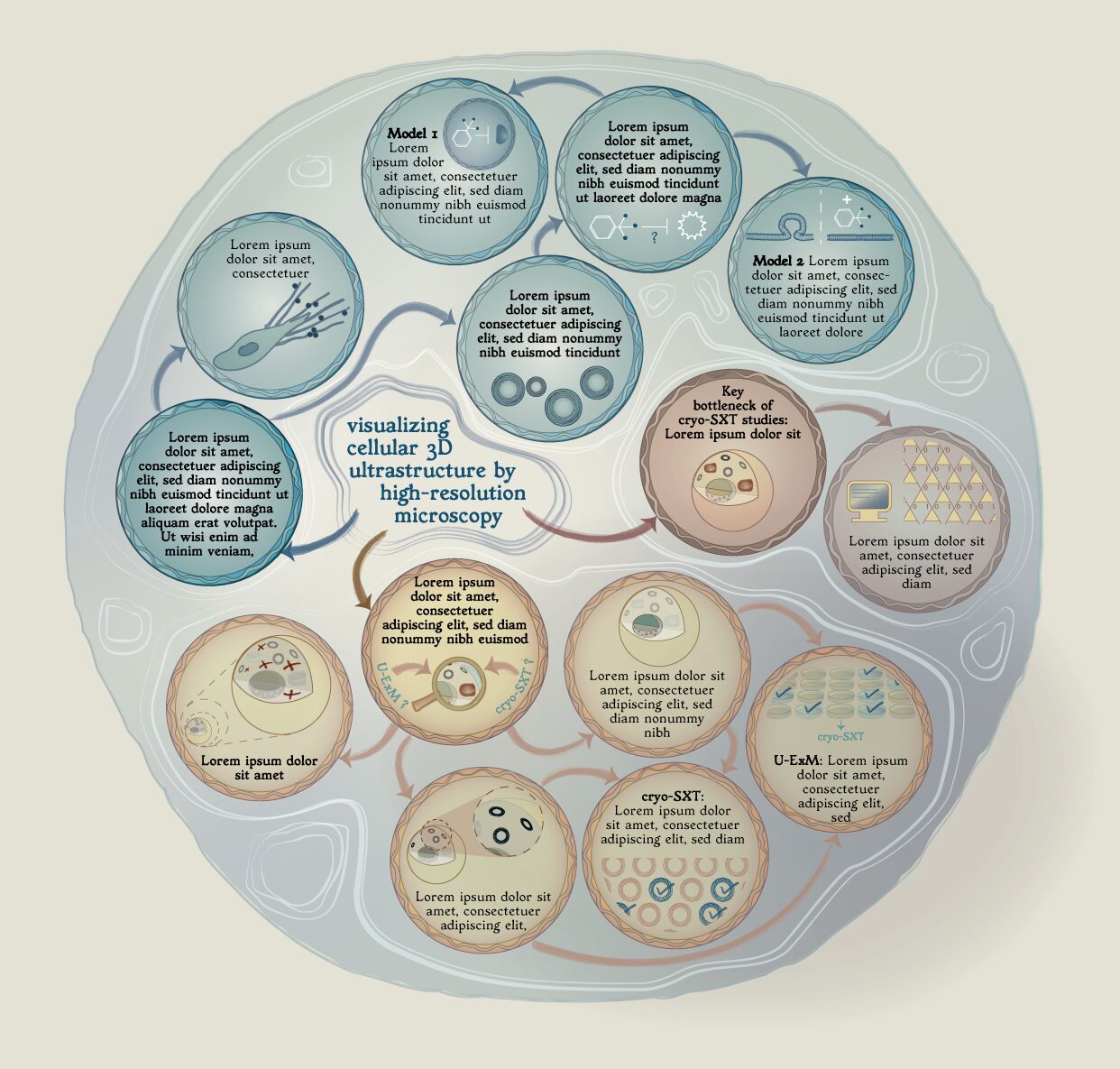 A graphical abstract I created for a PhD thesis, in which the author investigated the formation of a certain kind of vesicles in cells, how this process could be affected by certain drugs, and what microscopy methods work best for capturing these vesicles. It felt like the natural choice to incorporate as many vesicle-like bubbles in the concept :)